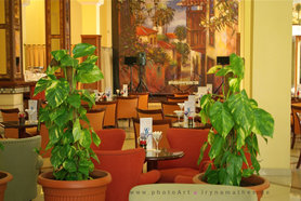 Hotel, Riu de Garoe, Teneriffa