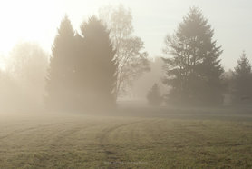 Nebel.... ich liebe Nebel...