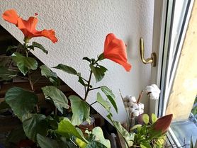 BLICK NACH NORDEN
ist es