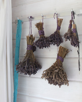 ein Teil der Lavendelernte vom letzten Jahr