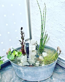 Fotofrage: Miniteich :relaxed: