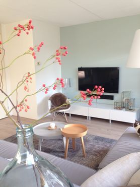 Wandfarbe Grün: Die besten Ideen und Tipps zum Streichen