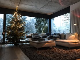 Unser Weihnachtsbaum 2016 liegt seit gestern auf dem Komposthaufen....;-(