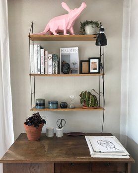 Oxalis triangularis meets Marante