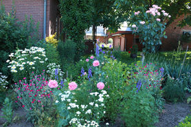 Oma's Garten