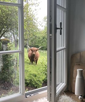 Bild von squirrliwohnt