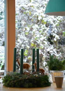 ?? Ich glaub ich steh im Wald ??