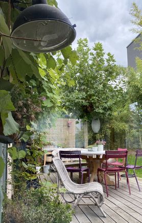 Dieses Jahr fällt es