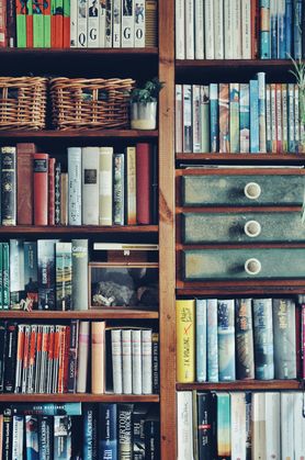 Bild von frau_seekuh