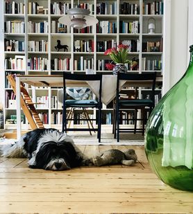 Ich versuche ja immer