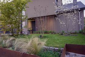 Langsam aber sicher 🌿