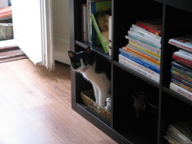 Missy im EXPEDIT  😉 