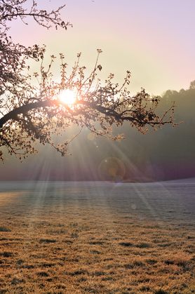 Abends
kurz bevor die Sonne
bei