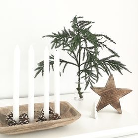 So sieht er in diesem Jahr aus....