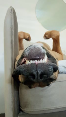 Bild von Solevita650