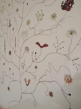 Lottas Träd close up