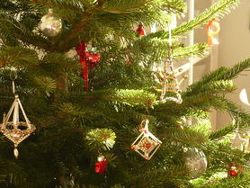 die vorfreude wächst ...