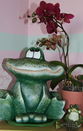  der verliebte Frosch 