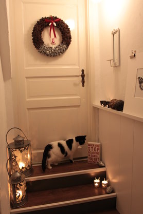 Tannenzapfentürkranz