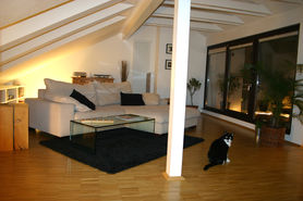 Blick zur Terrasse + Mitbewohnerin 😉