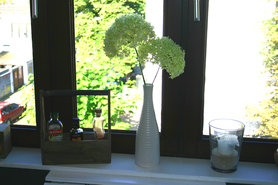 Blick aus Küchenfenster