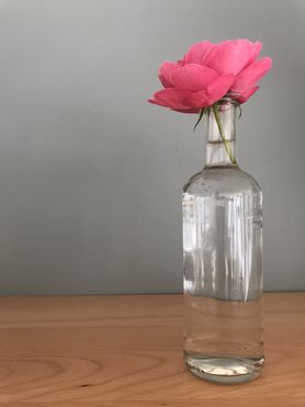 Meine letzte Rose aus