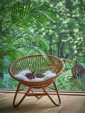 Bei diesem Sauwetter lümmle