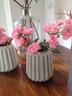 Die letzten Rosen .....