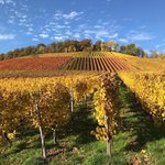 Bild des Benutzers Wohndesign2020