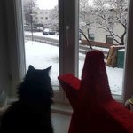 Bild des Benutzers sarahp91