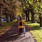 Bild des Benutzers Verena Dick