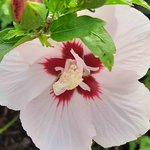 Bild des Benutzers Lilly19