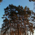 Bild des Benutzers ChaosGuardian