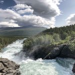 Bild des Benutzers -Mira-