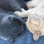 Bild des Benutzers Nordsüd