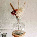 Bild des Benutzers Patrick2409