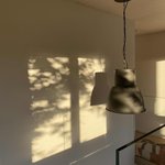 Bild des Benutzers geripeace