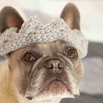 Bild des Benutzers Frau Lu