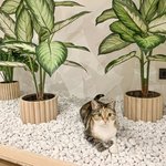 Bild des Benutzers MoniSa