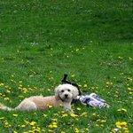 Bild des Benutzers Eglys