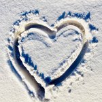 Bild des Benutzers S-JA