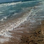 Bild des Benutzers Lufi