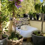 Bild des Benutzers more_living