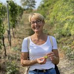 Bild des Benutzers Frau-Ländlich