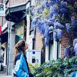 Bild des Benutzers ihannas