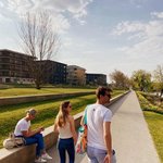 Bild des Benutzers stois