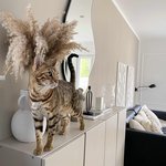 Bild des Benutzers 11_interiors