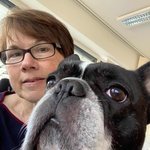 Bild des Benutzers DieterTheFrenchy