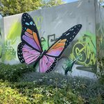 Bild des Benutzers Steftit