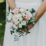 Bild des Benutzers Rhododendron